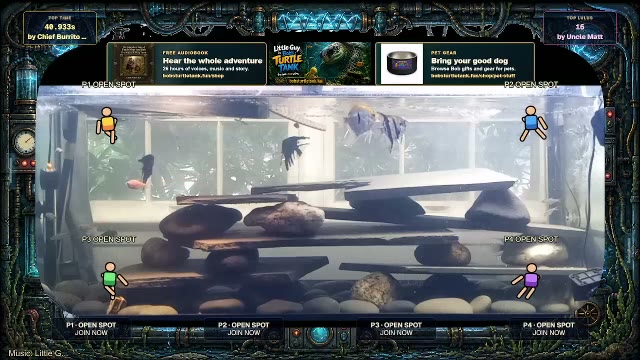 Turtle Tank