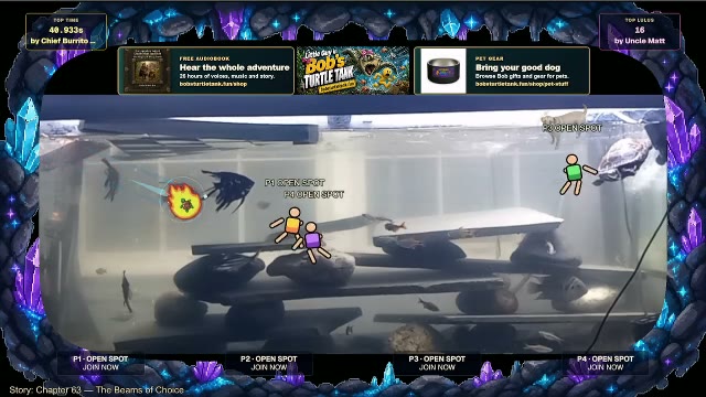 Turtle Tank