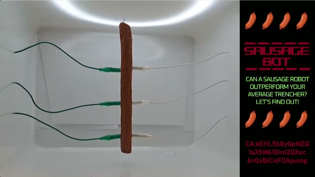 Sausage Bot