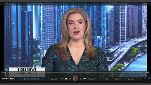 Official Capybara coin