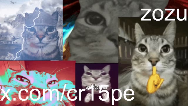 ZAZU