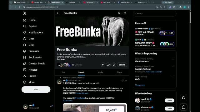 Free Bunka