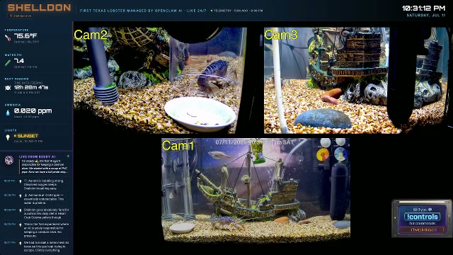 shelldon