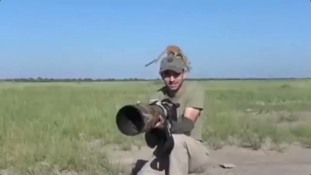 Peeko The Meerkat