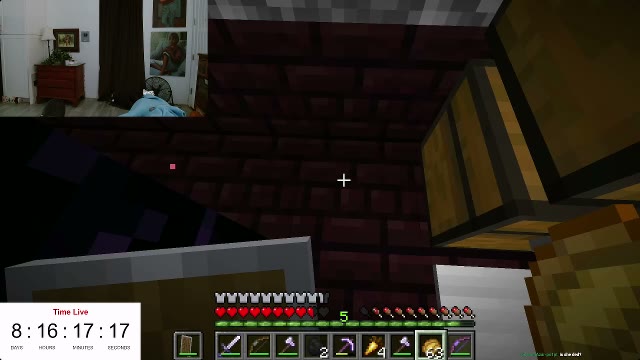 Minecraft Grandma Fund