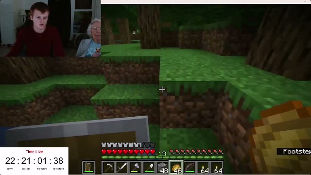 Minecraft Grandma Fund