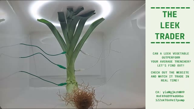 The Trader Leek